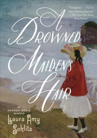 Kniha A Drowned Maiden's Hair: A Melodrama Laura Amy Schlitz