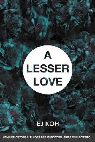 Kniha Lesser Love E. J. Koh