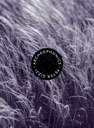 Buch Archeophonics Peter Gizzi