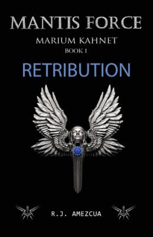 Knjiga Retribution Ramiro j Amezcua