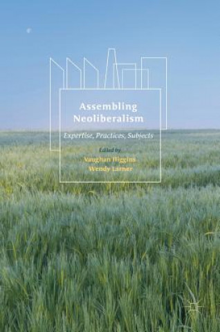 Książka Assembling Neoliberalism Vaughan Higgins