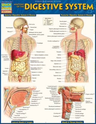 Kniha Anatomy of the Digestive System: Quickstudy Laminated Reference Guide Barcharts Inc