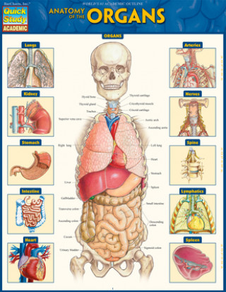 Kniha Anatomy of the Organs: Quickstudy Laminated Reference Guide Vincent Perez