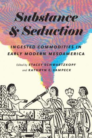 Knjiga Substance and Seduction Stacey Schwartzkopf