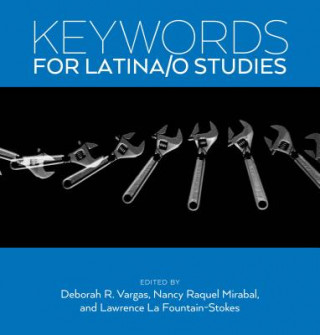 Könyv Keywords for Latina/o Studies Deborah R. Vargas