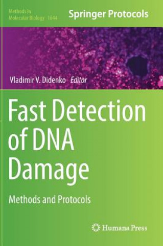 Könyv Fast Detection of DNA Damage Vladimir V. Didenko