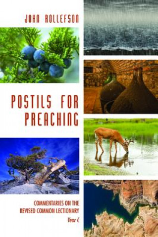 Kniha Postils for Preaching John Rollefson