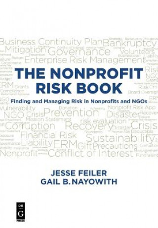 Könyv NONPROFIT RISK BOOK Jesse Feiler