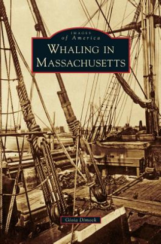 Kniha WHALING IN MASSACHUSETTS Gioia Dimock