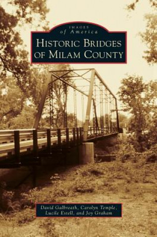 Kniha HISTORIC BRIDGES OF MILAM COUN David Galbreath