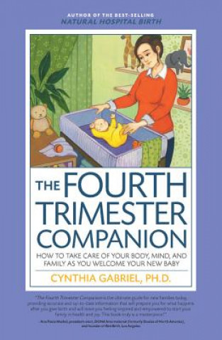 Kniha Fourth Trimester Companion Cynthia Gabriel