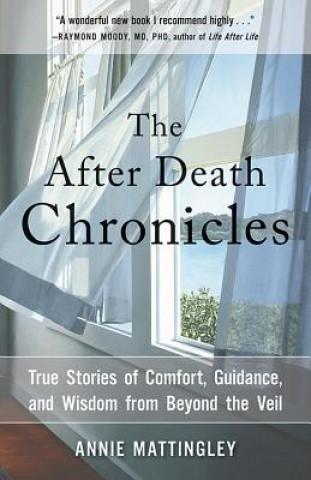 Knjiga After Death Chronicles Annie Mattingley