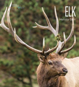 Carte Elk Melissa Gish