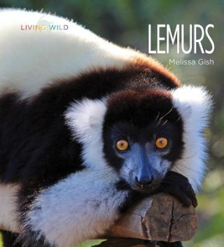 Libro Lemurs Melissa Gish