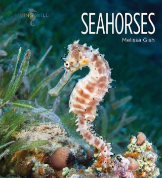 Kniha Seahorses Melissa Gish