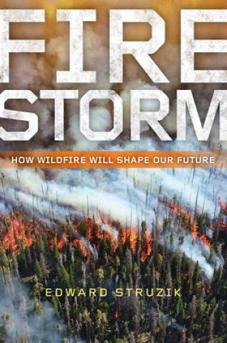 Boek Firestorm Edward Struzik