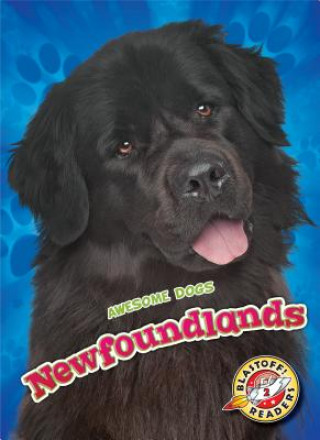 Kniha Newfoundlands Nathan Sommer