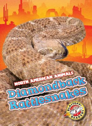 Kniha Diamondback Rattlesnakes Betsy Rathburn