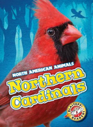 Kniha Northern Cardinals Megan Borgert-Spaniol