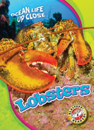 Kniha Lobsters Heather Adamson