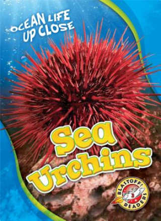 Carte Sea Urchins Heather Adamson