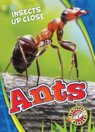 Könyv Ants Patrick Perish