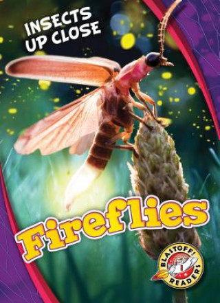 Könyv Fireflies Christina Leaf