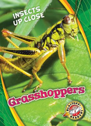 Kniha Grasshoppers Patrick Perish