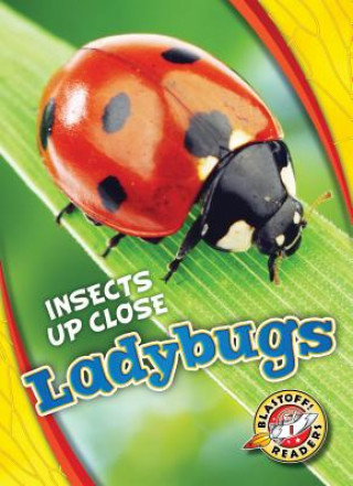 Kniha Ladybugs Christina Leaf