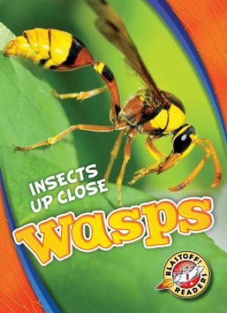 Kniha Wasps Patrick Perish