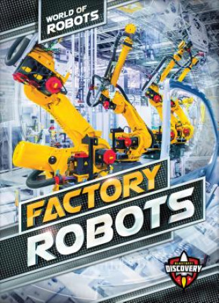 Książka Factory Robots Elizabeth Noll