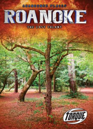 Carte Roanoke: The Lost Colony Kari Schuetz