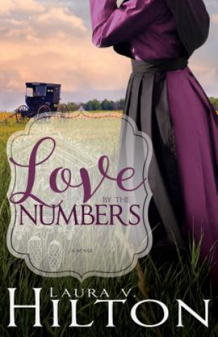 Kniha Love by the Numbers Laura V. Hilton