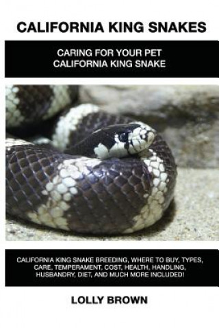 Książka CALIFORNIA KING SNAKES Lolly Brown