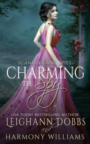 Kniha Charming The Spy Leighann Dobbs