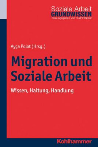 Kniha Migration und Soziale Arbeit Ayca Polat