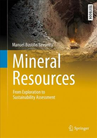 Könyv Mineral Resources Manuel Bustillo Revuelta