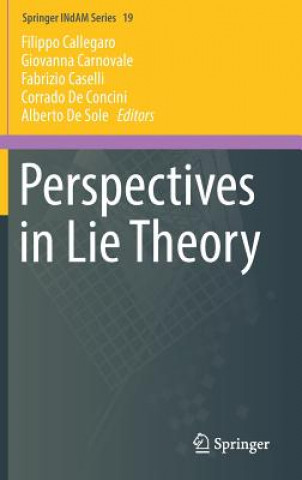 Βιβλίο Perspectives in Lie Theory Filippo Callegaro