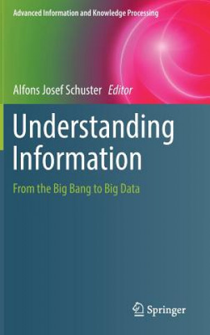 Книга Understanding Information Alfons Josef Schuster