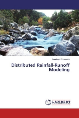 Knjiga Distributed Rainfall-Runoff Modeling Sandeep Chourasia