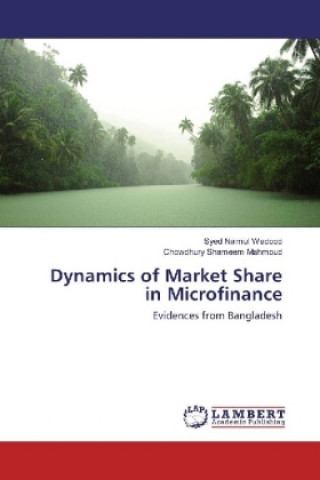 Kniha Dynamics of Market Share in Microfinance Syed Naimul Wadood