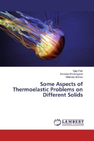 Carte Some Aspects of Thermoelastic Problems on Different Solids Vijay Patil