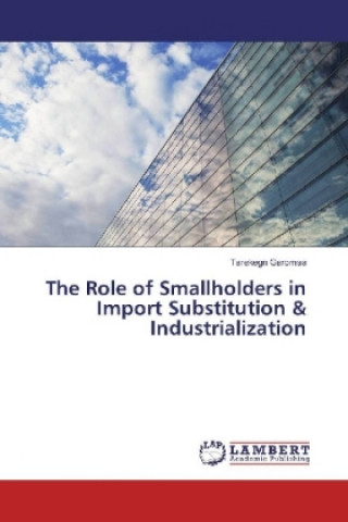 Kniha The Role of Smallholders in Import Substitution & Industrialization Tarekegn Garomsa