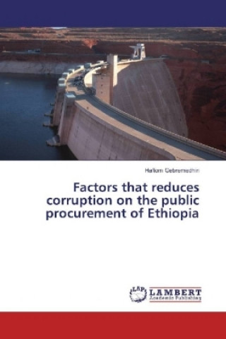 Könyv Factors that reduces corruption on the public procurement of Ethiopia Haftom Gebremedhin