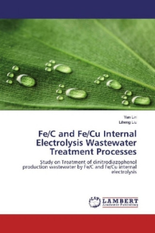 Könyv Fe/C and Fe/Cu Internal Electrolysis Wastewater Treatment Processes Yan Lin