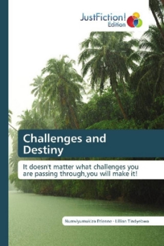 Kniha Challenges and Destiny Numviyumukiza Etienne