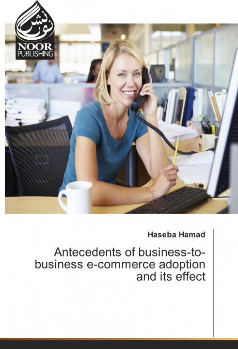 Kniha Antecedents of business-to-business e-commerce adoption and its effect Haseba Hamad