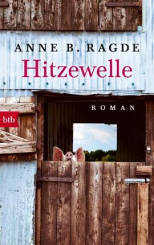 Könyv Hitzewelle Anne B. Ragde