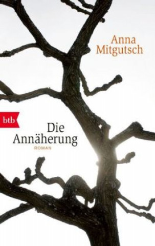 Kniha Die Annäherung Anna Mitgutsch