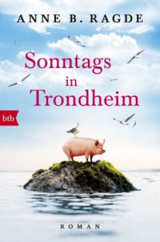 Könyv Sonntags in Trondheim Anne B. Ragde